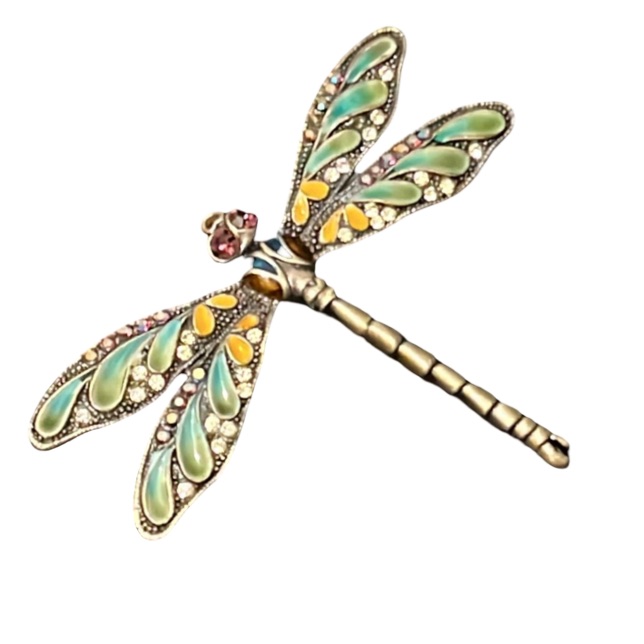 Vintage Whimsical Enameled Bronze Crystal Rhinestone Dragon Fly Brooch